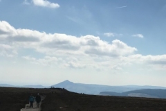 Tilbradden002